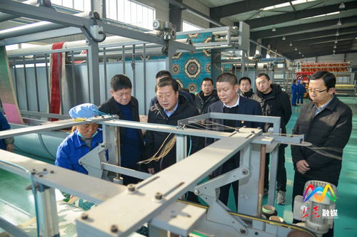 張馳深入雄山集團調研 聚焦安全生產與轉型發展，技術轉讓助力企業新突破