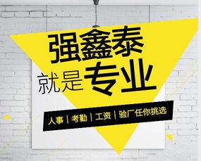 廣東東莞箱包手袋皮具行業(yè)驗廠軟件 專人實施與售后保障的專業(yè)解決方案